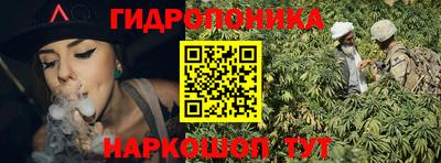 индика Будённовск