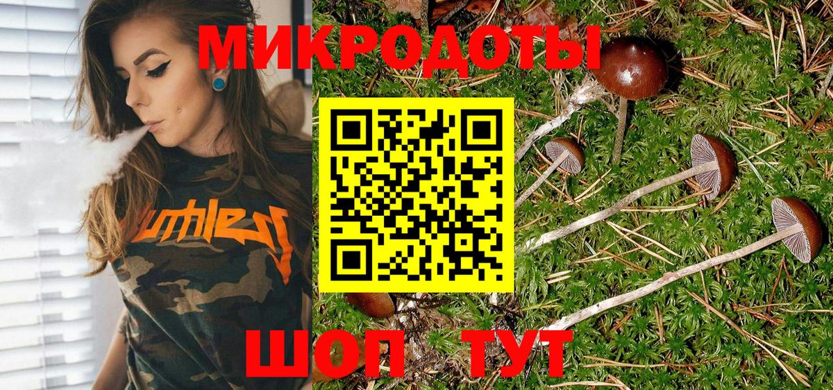 Галлюциногенные грибы Cubensis Пыть-Ях