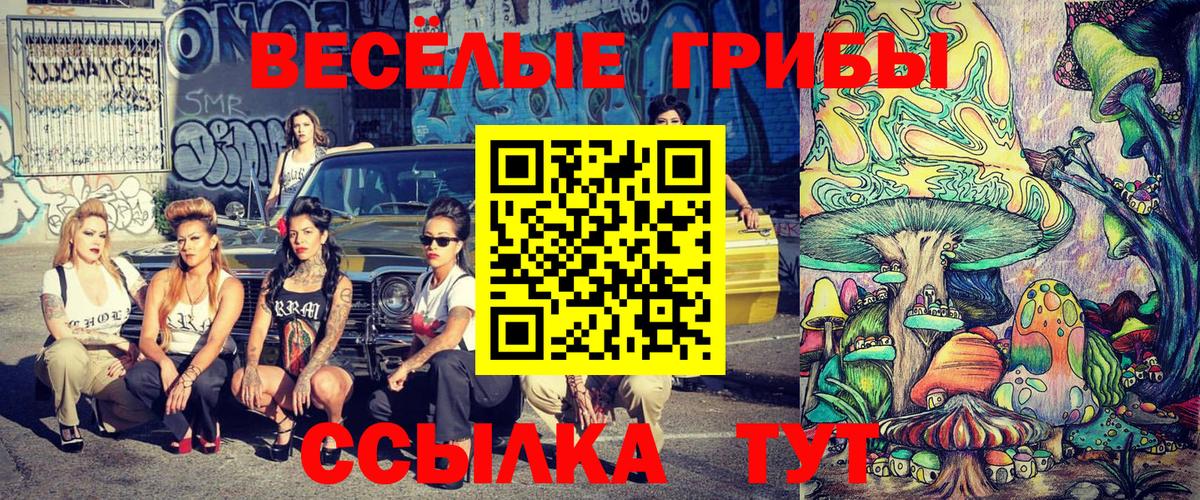 Галлюциногенные грибы Psilocybine cubensis  продажа наркотиков  Вход с VPN  Пыть-Ях  Галлюциногенные грибы мухоморы 